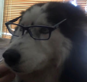 Meet your Posher, Thatguymat